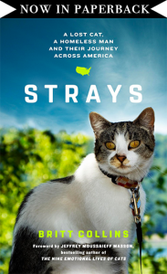 Strays-paperback