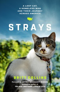 strays