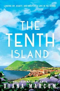 The Tenth Island cover