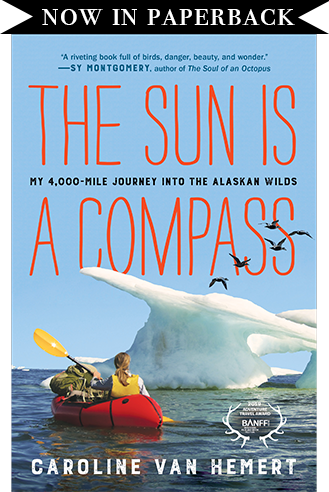 The-Sun-is-a-Compass-Paperback-banner